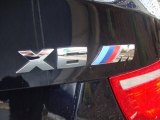 2010 BMW X6 M  Marks and Logos
