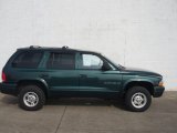 2000 Forest Green Pearl Dodge Durango SLT 4x4 #61112758