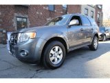 2010 Sterling Grey Metallic Ford Escape Limited V6 4WD #61167171