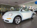 2010 Volkswagen New Beetle Final Edition Convertible