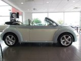 2010 Volkswagen New Beetle Final Edition Convertible Exterior