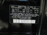2011 Azera Color Code for Black Onyx Pearl - Color Code: AA