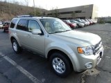2012 Ford Escape Limited V6 4WD