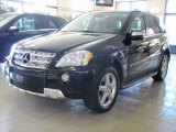 2010 Black Mercedes-Benz ML 550 4Matic #61241995