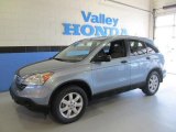 2009 Glacier Blue Metallic Honda CR-V EX 4WD #61241635