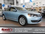 2012 Glacier Blue Metallic Volkswagen Passat 2.5L SEL #61288711