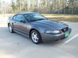 2004 Dark Shadow Grey Metallic Ford Mustang V6 Coupe #61345808