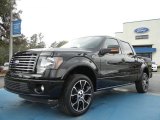 2012 Ford F150 Harley-Davidson SuperCrew 4x4