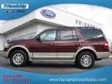 2010 Ford Expedition Eddie Bauer