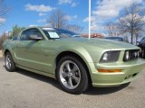 Legend Lime Metallic Ford Mustang in 2005