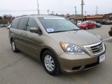 2008 Mocha Metallic Honda Odyssey EX #61344069