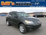 2012 Black Forest Green Hyundai Santa Fe GLS AWD #61499798