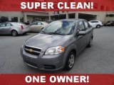 2010 Medium Gray Chevrolet Aveo LT Sedan #61499460