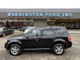 2010 Black Ford Escape XLT 4WD #61530065
