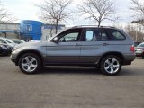 2006 Sterling Grey Metallic BMW X5 4.4i #61538067