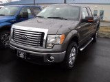 2012 Sterling Gray Metallic Ford F150 XLT SuperCab #61537953