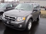 2012 Sterling Gray Metallic Ford Escape XLT 4WD #61537950