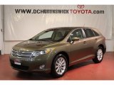 2009 Golden Umber Mica Toyota Venza I4 #61580944