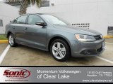 2012 Platinum Gray Metallic Volkswagen Jetta TDI Sedan #61580900