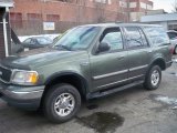 2001 Estate Green Metallic Ford Expedition XLT 4x4 #61580405