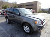 2012 Sterling Gray Metallic Ford Escape XLT 4WD #61646203