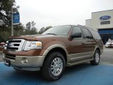 2012 Golden Bronze Metallic Ford Expedition XLT #61646159