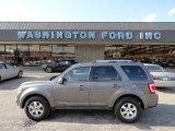 2012 Sterling Gray Metallic Ford Escape Limited V6 4WD #61646380