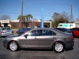 Sterling Grey Metallic Ford Fusion in 2010