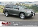 2012 Cypress Green Pearl Toyota Highlander V6 4WD #61645979