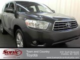 2009 Magnetic Gray Metallic Toyota Highlander Limited 4WD #61646568