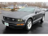 2007 Alloy Metallic Ford Mustang V6 Deluxe Coupe #61702555