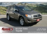 2010 Toyota RAV4 I4 4WD