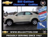 2012 Gold Mist Metallic Chevrolet Equinox LS #61761963