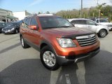 2009 Copperhead Kia Borrego LX V6 #61761474