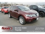 2009 Nissan Murano S AWD