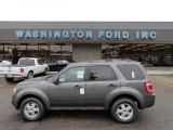 2012 Sterling Gray Metallic Ford Escape XLT #61833272