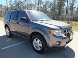 2012 Sterling Gray Metallic Ford Escape XLT #61868746