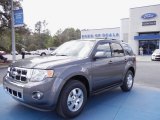 2012 Sterling Gray Metallic Ford Escape Limited #61908022