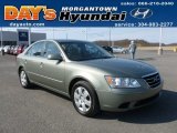 2009 Hyundai Sonata GLS