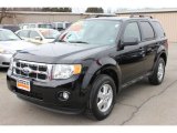2010 Black Ford Escape XLT 4WD #61908533
