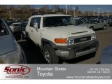 2011 Toyota FJ Cruiser 4WD