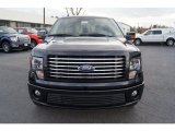 2012 Ford F150 Harley-Davidson SuperCrew Exterior