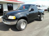 1998 Ford F150 XLT Regular Cab 4x4 Front 3/4 View