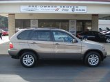 2005 Kalahari Beige Metallic BMW X5 3.0i #61966412