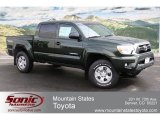2012 Spruce Green Mica Toyota Tacoma V6 TRD Double Cab 4x4 #61966254