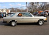 1985 Mercedes-Benz E Class Champagne Metallic