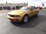 2010 Sunset Gold Metallic Ford Mustang V6 Premium Convertible #62036528