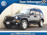2004 Black Clearcoat Jeep Liberty Limited 4x4 #62036793