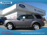 2012 Sterling Gray Metallic Ford Escape XLT 4WD #62097767