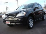 2007 Mercedes-Benz ML 350 4Matic